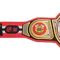 Chicago Blackhawks WWE Legacy Title Belt