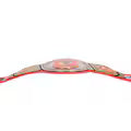 Chicago Blackhawks WWE Legacy Title Belt